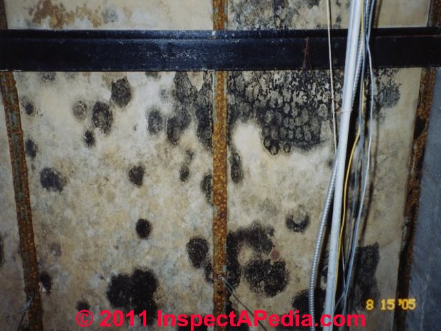 Mold In Fiberglass Insulation Can Mold Grow In Fiberglass