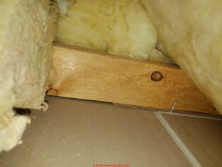 Ceiling truss, insulation, drywall at the home where ceiling snapping cracking popping noises are heard (C) InspectApedia.com Ghz