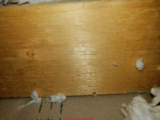 Ceiling truss, insulation, drywall at the home where ceiling snapping cracking popping noises are heard (C) InspectApedia.com Ghz