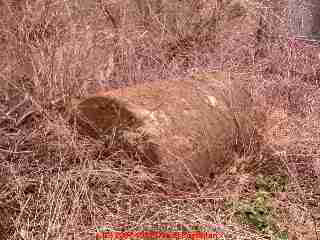 Oil tank floating up from the ground by a creek (C) Daniel Friedman