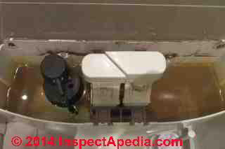 Top flush dual control toilet, Akaroa New Zealand (C) Daniel Friedman