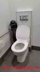 Dual flush toilet, Auckland New Zealand (C) Daniel Friedman