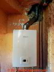 Bosch MiniMAXX tankless water heater, gas fired (C) Daniel Friedman