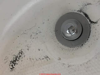Dark gray sandy deposits may be coming from water softnener or from water heater (C) InspectApedia.com Amy