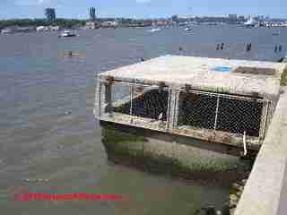 New York City Storm Drain Overflow (C) Daniel Friedman