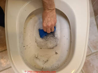 Sponge out the last bit of water in the toilet bowl so that later removing it will be less messy - (C) Daniel Friedman at InspectApedia.com