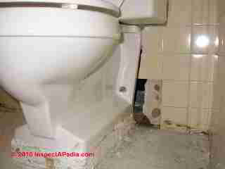 Back Flush Toilet with reservoir (C) Daniel Friedman
