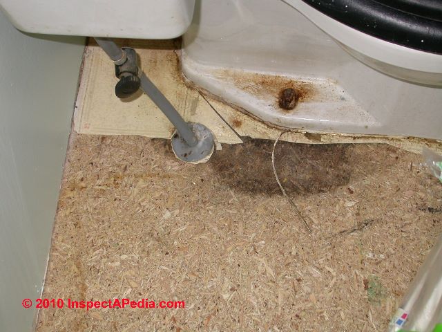 Why is My Toilet Leaking Around the Base? | Blog