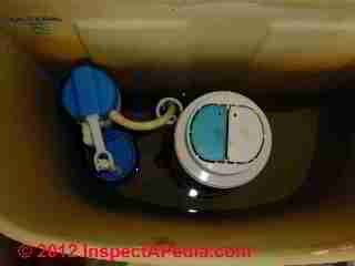 Top flush flush valve toilet Glacie Bay (C) Daniel Friedman
