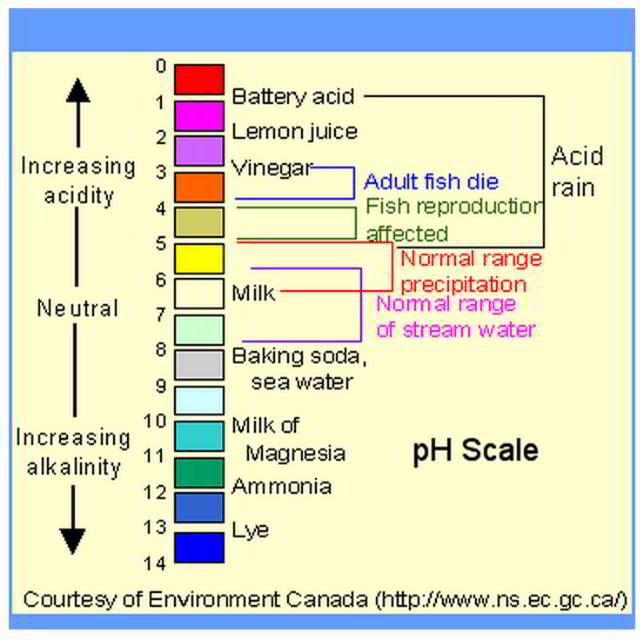 WHO pH for drinking water, too high pH or too low pH acidic