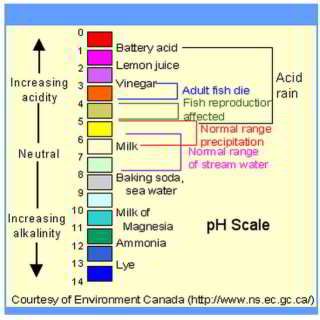 pH scale for common materials  - www.ns.ec.gc.ca