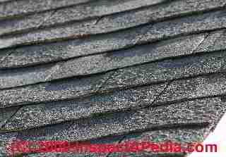 Asphalt shingle blisters on Atlas Chalet shingles 4 years old (C) Daniel Friedman Jim Todd