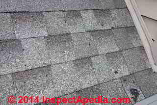 Asphalt shingle damage from hail or product defect (C) InspectAPedia JF