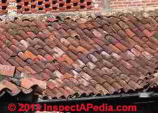 White stain diagnosis on a clay roof tile in Mexico (C) Daniel Friedman