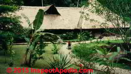 Thatch roof at Alberque Bosque Esquinas in Costa Rica (C) Daniel Friedman 