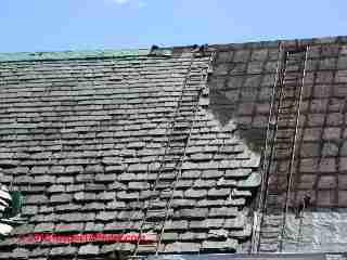 Slate roof repair and access ladders (C) Daniel Friedman