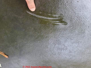 Scraping up a sample of algae from an EPDM roof (C) Daniel Friedman at InspectApedia.com