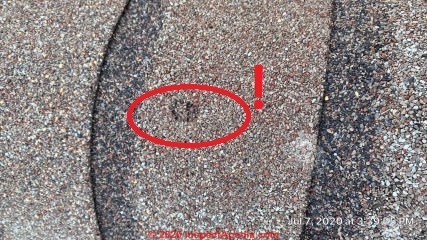 1.5" hail damage to nearly-new asphalt shingle roof (C) InspectApedia.com George