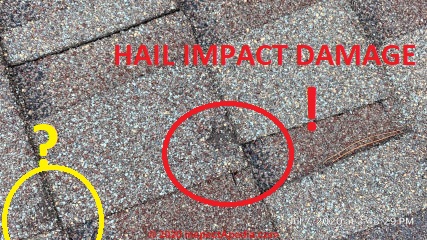 1.5" hail damage to nearly-new asphalt shingle roof (C) InspectApedia.com George