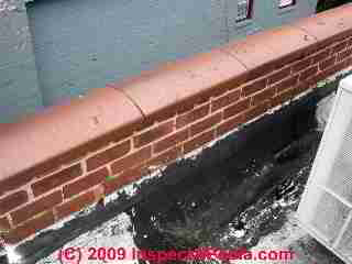 Low slope roof parapet wall leaks (C) Daniel Friedman