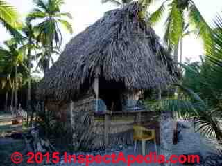 Palm thatch roof in La Manzanilla, Mexico (C) Daniel Friedman 2011