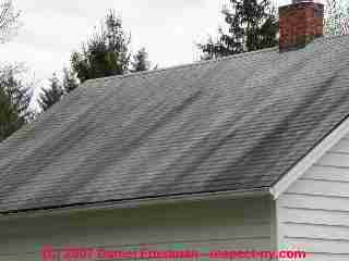 Photograph of possible asphalt shingle bleed-through or extractive bleeding on asphalt roof shingles (C) Daniel Friedman