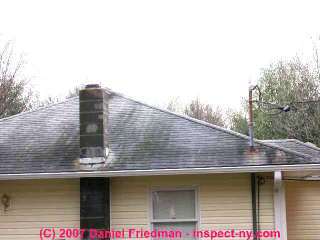 Photograph of shingle algae or fungus stains on a roof (C) Daniel Friedman