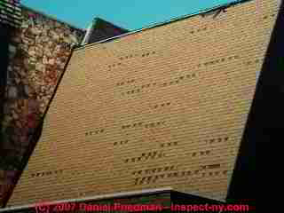 Lost asphalt shingles on a steep roof (C) Daniel Friedman