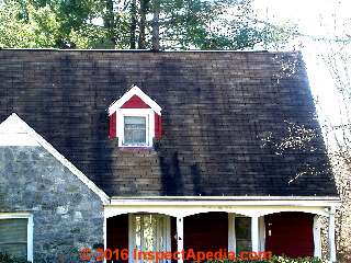 Absence of algae stains below metal flashing at dormer (C) Daniel Friedman