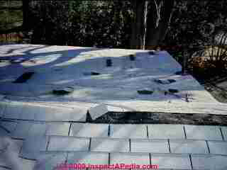 Wind damaged roof shingles (C) Daniel Friedman