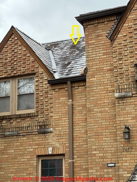 Black stains on slate roof probably caused by algae, not roofing felt or 