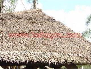 Synethetic Thatch Roofing example