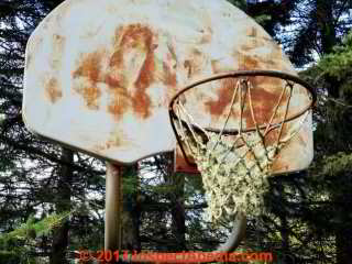 Lichens on a basketball net, Two Harbors MN (C) Daniel Friedman