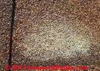 Closeup of white stains on asphalt shingles in Albuquerque NM (C) InspectApedia & JM