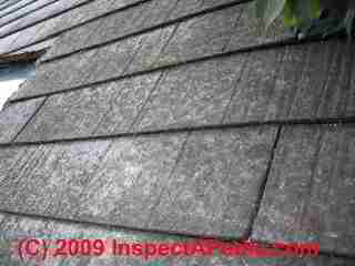 Wood fiber cement roofing (C) Daniel Friedman