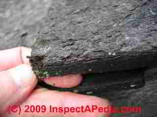 Masonite woodruf shingle failure (C) Daniel Friedman