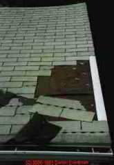 Wind damaged asphalt shingles on a garage roof, Poughkeepsie NY USA April 6 2007 (C) Daniel Friedman