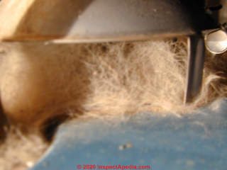 Dog hair drawn into water heater draft hood is unsafe (C) Daniel Friedman at InspectApedia.com