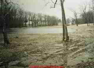 Soaking drainfield by a lake © D Friedman at InspectApedia.com 