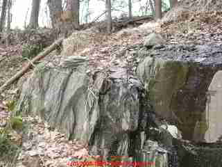 LARGER VIEW of a sloping bank mound system installed across a natural drainage cachment, an area where where we found effluent breakout at the ends of the septic mound - evidence of a failed septic leach field