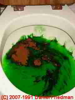 LARGER VIEW septic dye placed in a toilet at the beginning of a septic loading and dye test.