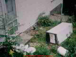 LARGER IMAGE: a steel septic tank with a rusted cover was located in this walking area. A photo of the steel septic tank cover after the author
stepped through it is shown below.