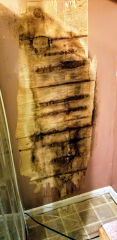 Mold and water-damaged wall paneling in an Arkansas rental home (C) InspectApedia.com CH