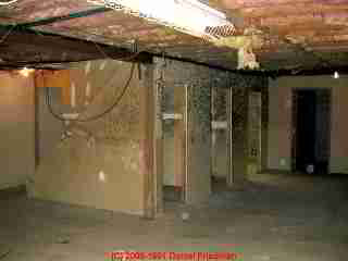 Photo of Moldy drywall in a basement following a basement flooding event (C) Daniel Friedman