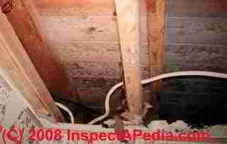 Penicillium mold in an attic