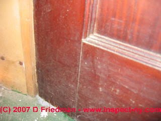 Light colored mold on an interior door in a damp basement