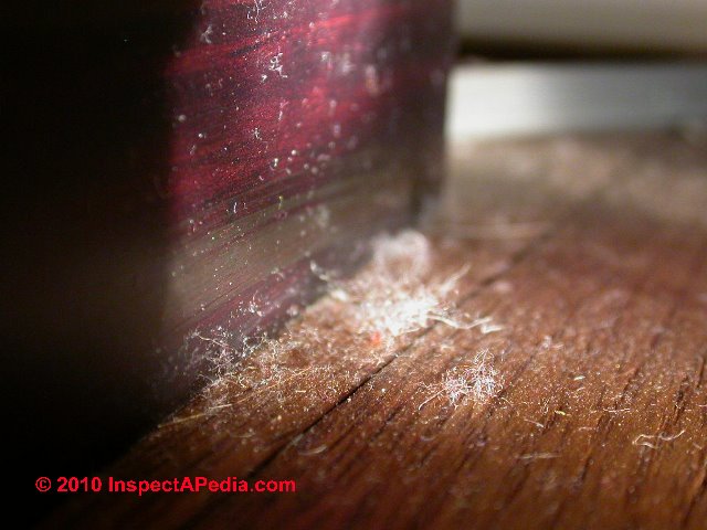 Flashlight dust © D Friedman at InspectApedia.com 