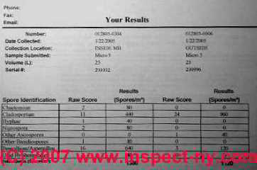 Mold Testing Air Quality and Lab Results Interpretation