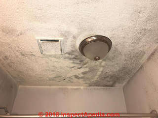 Moldy apartment ceiling (C) InspectApedia.com Tana