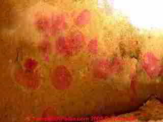 red mold in a wall cavity that was thought to be "dry" and clean. © Daniel Friedman at InspectApedia.com